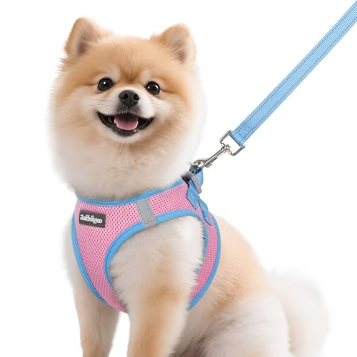 Dog Harness Small Sized and Leash Set (Pink & Blue / M (Chest: 16.0"-18.5"))