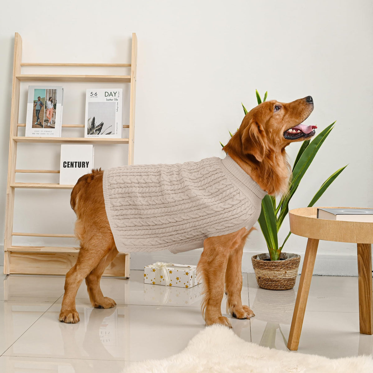 Dog Sweater 2 Pack for Large Dogs (Oatmeal & Brown / XXXX-Large)