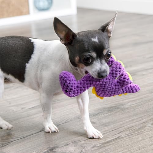 Checkers Just for Me Dinos Bruto Squeaky Plush Dog Toy (Checkers - Dinos Bruto (Purple) / Mini)