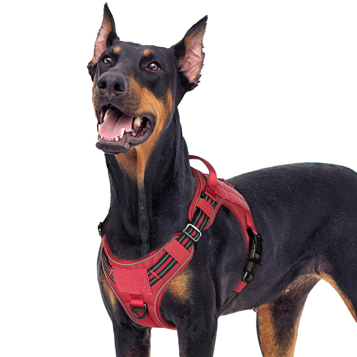 Tactical Dog Harness for Large Dogs (Xl(chest:23.6"-41.8",neck:21.7"-32.3",back:9.1") / Red)