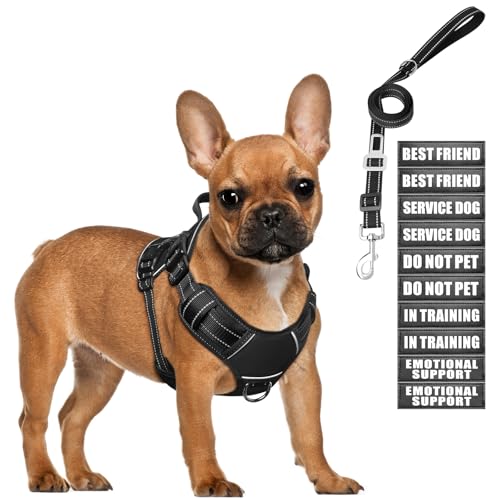 Tactical Dog Harness and Leash Set Small Sized Dog+10 Dog Patches (Small / Black)