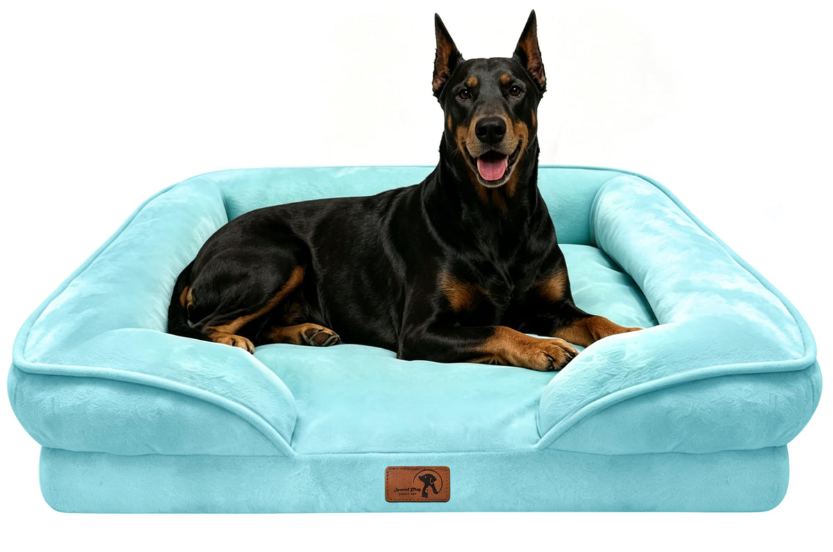 Orthopedic Dog Bed with Sides (48.0"L x 35.0"W x 8.0"Th / Ice Blue)