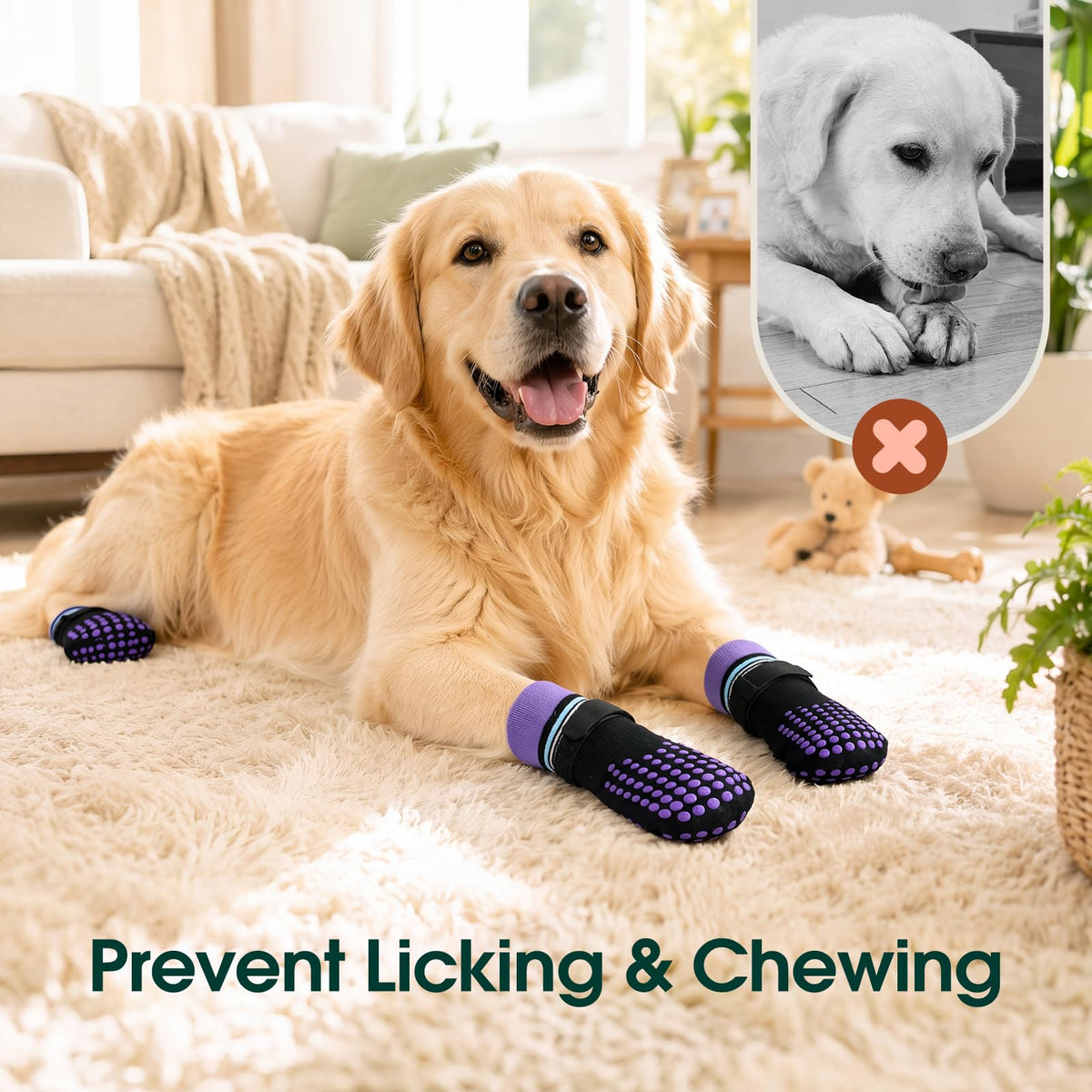 2 Pairs Anti Slip Dog Socks with Grips (Xs(paw width: 1.57") / black)