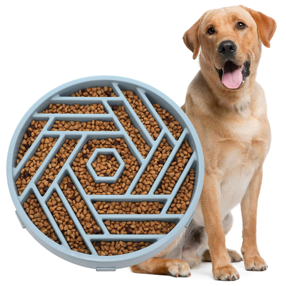 Slow Feeder Dog Bowl (blue)