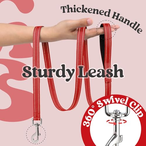 Dog Harness Small Sized and Leash Set (Black & Red / XS (Chest: 13.3"-15.5"))