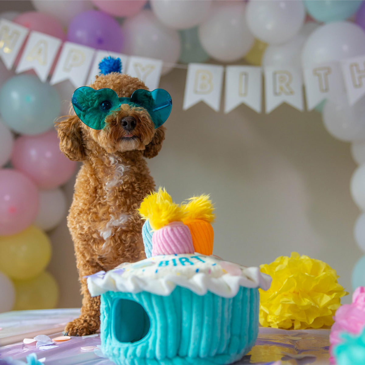 Hide-A-Birthday-Cake Plush Squeaky Dog Toy, 7.5" x 4.7"
