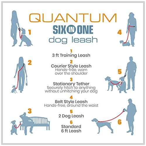 Quantum 6 in 1 Dog Leash (Red/Blue)