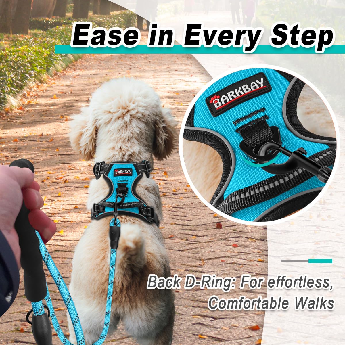 Dog Harness for Small Sized Dog No Pull 2 Leash Clips Dog Vest (Blue / X-Small)