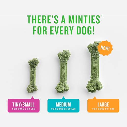 Mint Dental Chews for Dogs (Medium Dogs - 32oz)