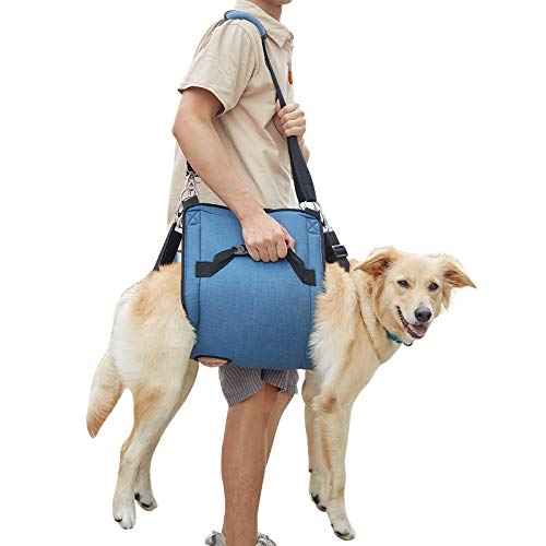 Dog Carry Sling (X-Large / Blue)