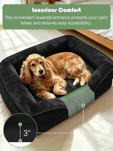 Orthopedic Dog Bed with Sides (35.0"L x 25.0"W x 6.5"Th / Black)