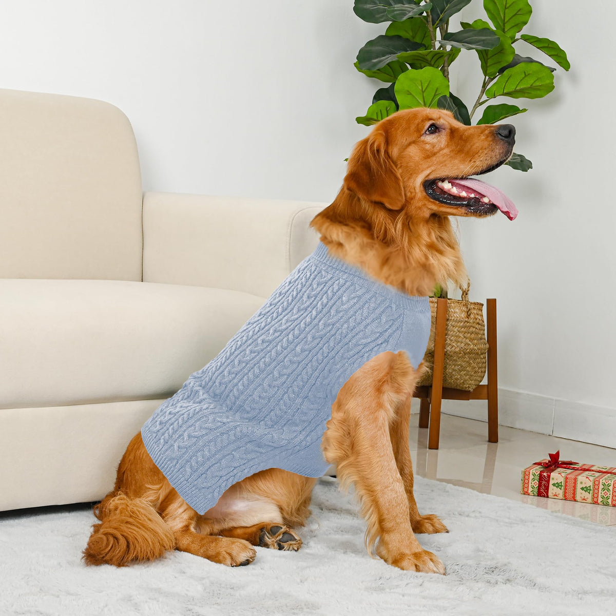 Dog Sweater 2 Pack for Large Dogs (Blue & Green / XX-Large)
