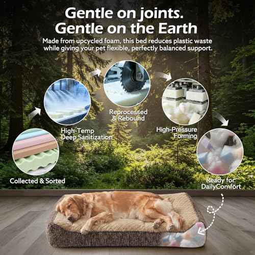 Extra Large Orthopedic Dog Beds Large Sized Dog (XXL(48"L x 34.5"W x 10"Th) / Brown)