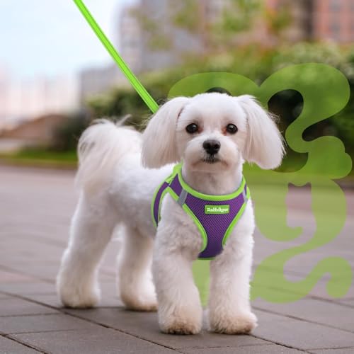 Dog Harness Small Sized and Leash Set (Purple & Green / L (Chest: 18.2"-20.5"))