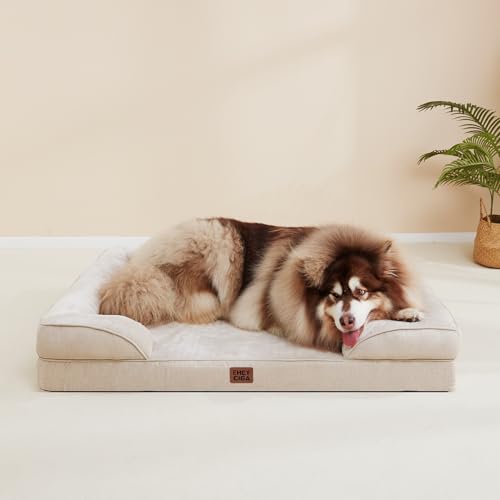 Orthopedic XXL Dog Bed (Beige / 46.0"l X 35.0"w X 7.5"th)