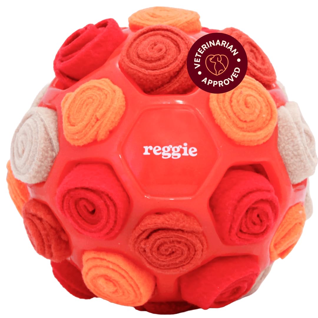 Snuffle Ball for Dogs (Forager Ball - Red)