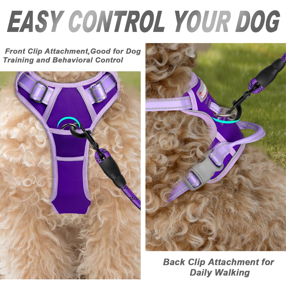 Dog Harness No Pull for Small Sized Dog Front Back Clips (X-Small(Chest:15.5-19.5”) / Violet Purple & Purple)