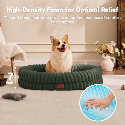 Orthopedic Dog Bed (Olive Green / L(35*28*7))