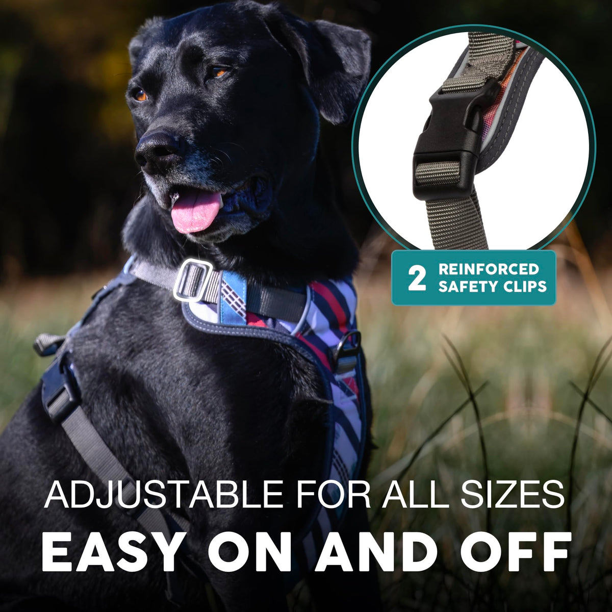 Embark No Pull Dog Harness (XL / Maverick)