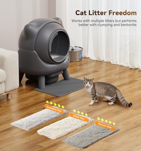 Automatic Litter Box