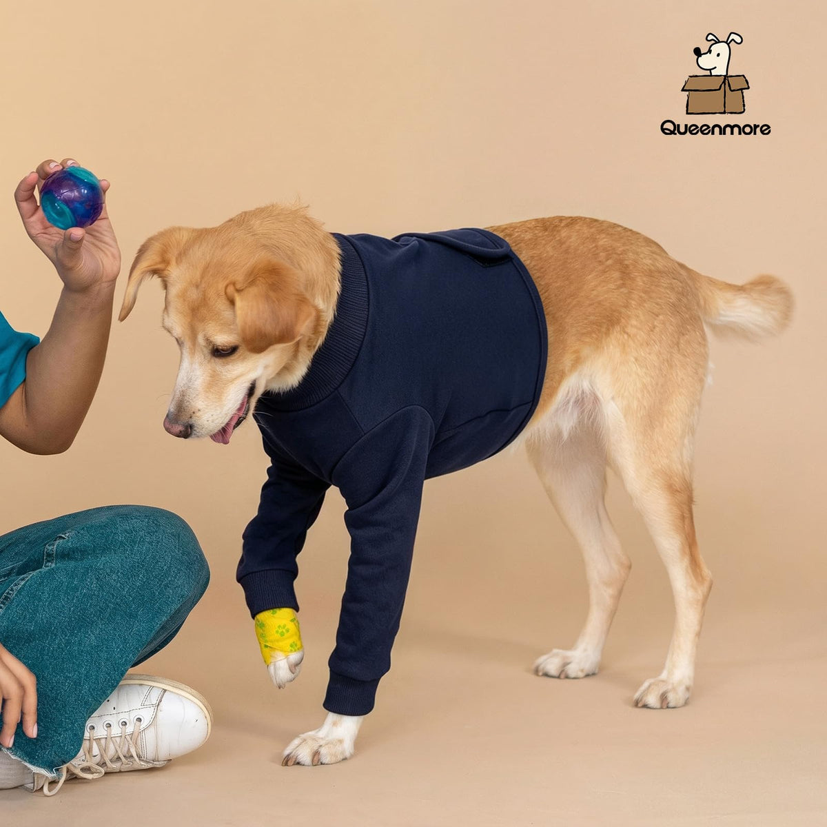 Large Recovery Suit for Dogs (XX-Large / NavyBlue)
