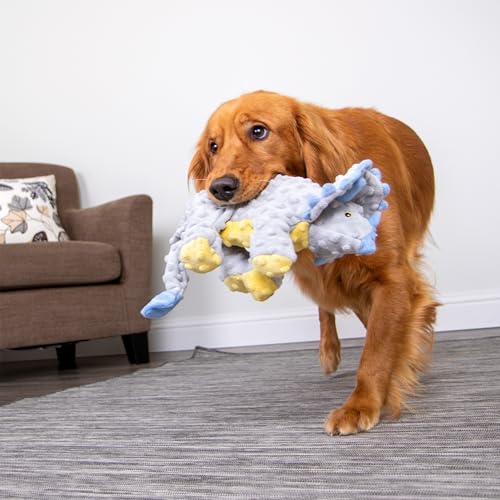 Dinos Frills Squeaky Plush Dog Toy with Chew Guard Technology (Dinos Frills (Gray) / Large)