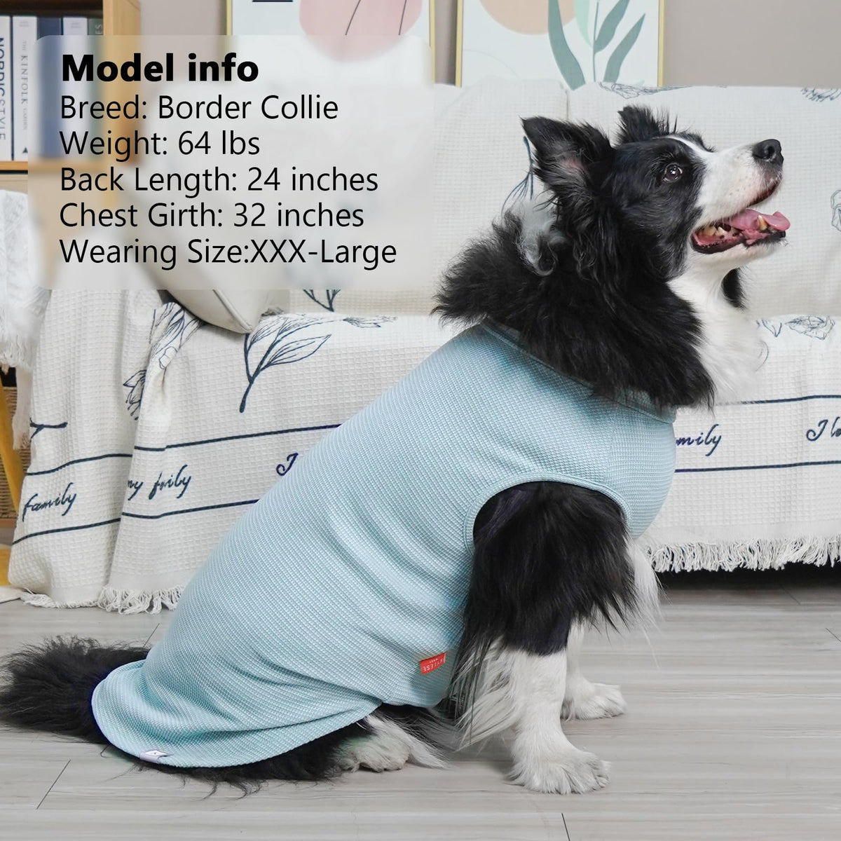 2Pack Waffle Dog Shirt for Large Dogs Soft Dog Sweater Tank Top (XXX-Large (55-75lbs) / 2Pack(Blue+Grey))