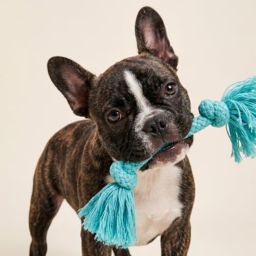 Tug Rope Dog Toys for Small Dogs (Small / Peanut Butter)