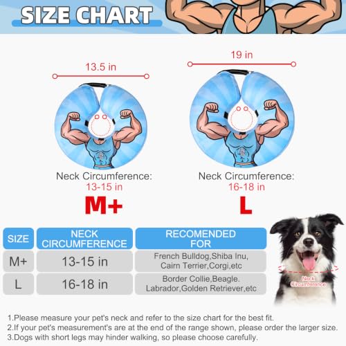Inflatable Dog Cone Collar Alternative After Surgery (Hercules / L (Neck:16-18in))