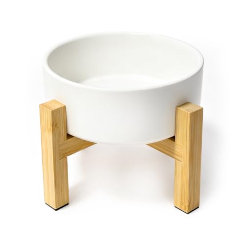 Raised Dog Bowl (Small / White)