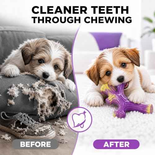3 Pack Puppy chew Toys (Purple(Small))