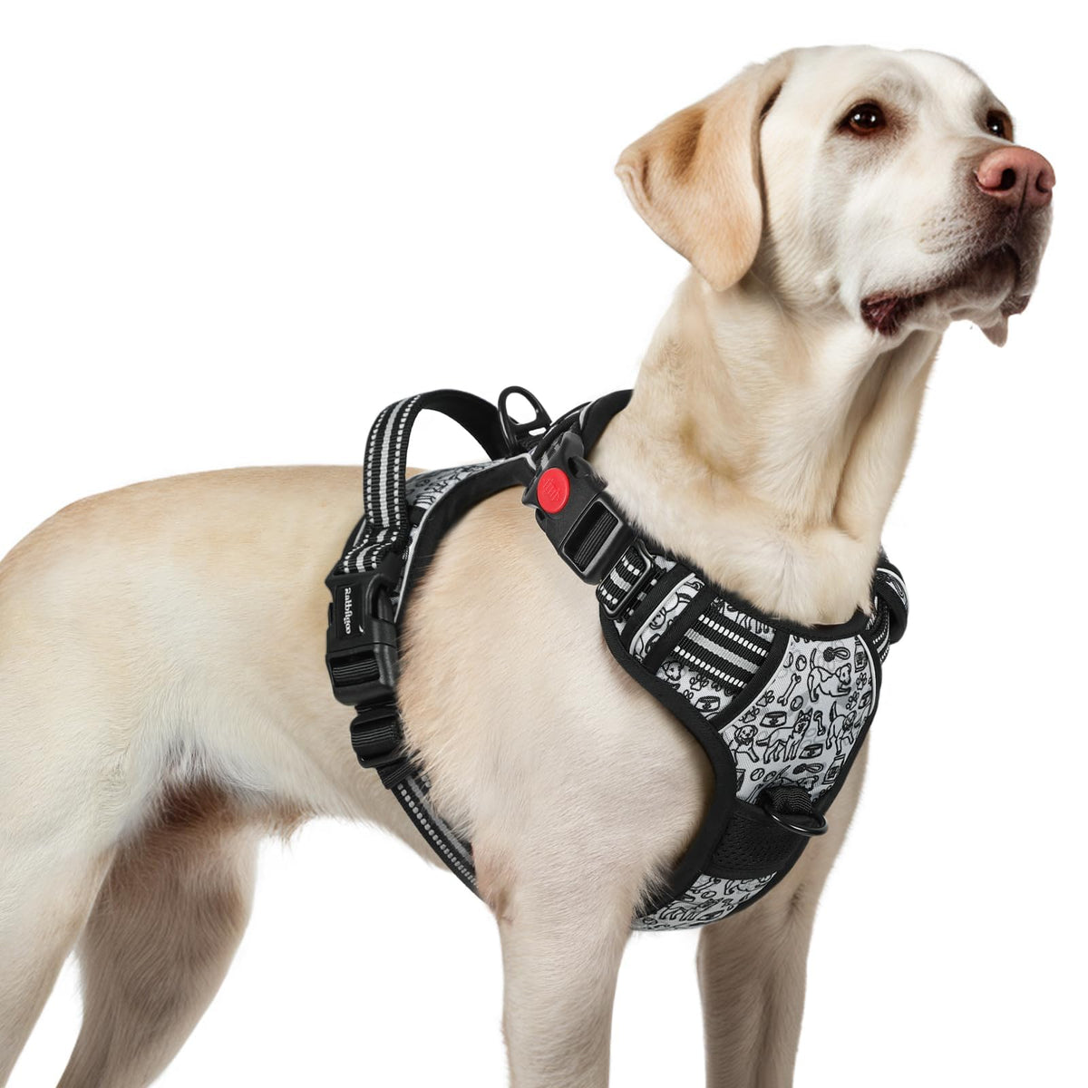 Dog Harness for Large (Grey Stripe Dog / Large)