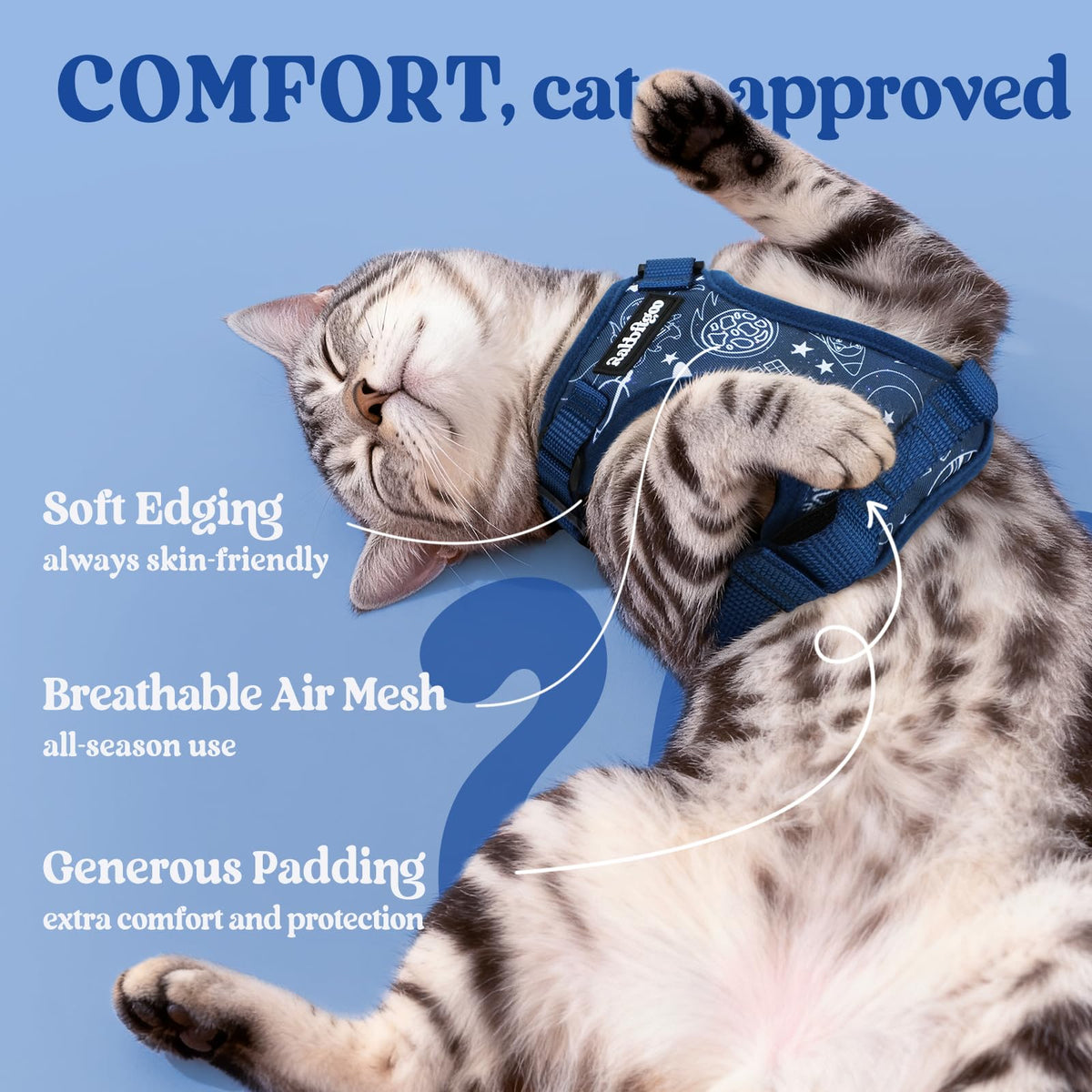 Cat Harness and Leash Set (Xxs / Cosmic Ace)