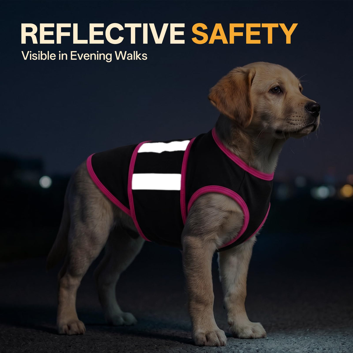 Anti Anxiety Vest for Dog Skin (Black / Small)