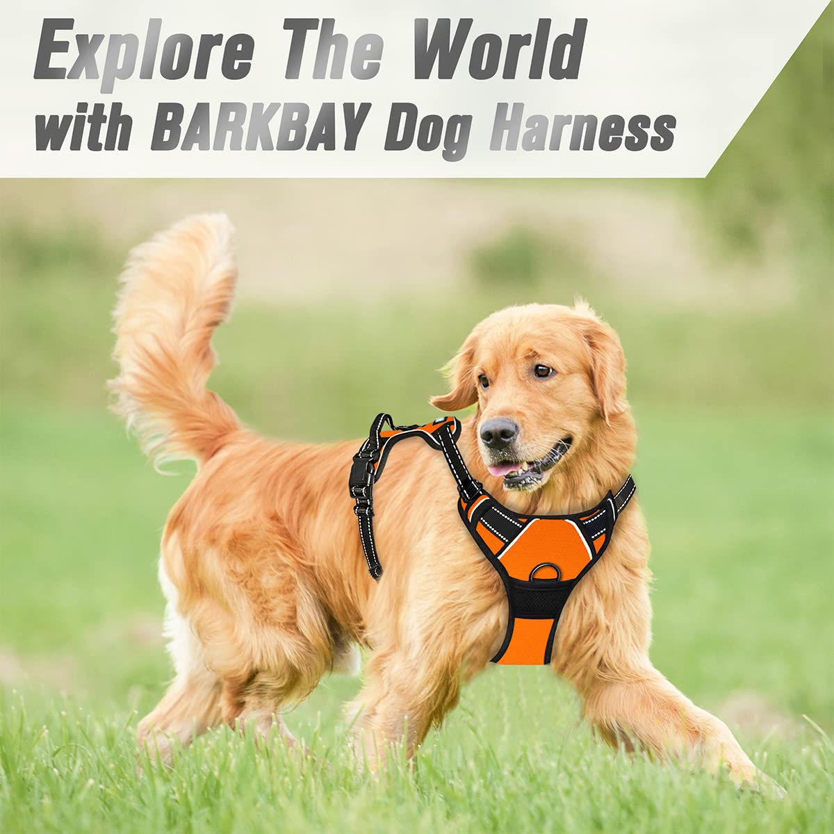 Dog Harness No Pull for Large Dogs Front Back Clips (Large(Chest:24.5-32.5") / Orange)