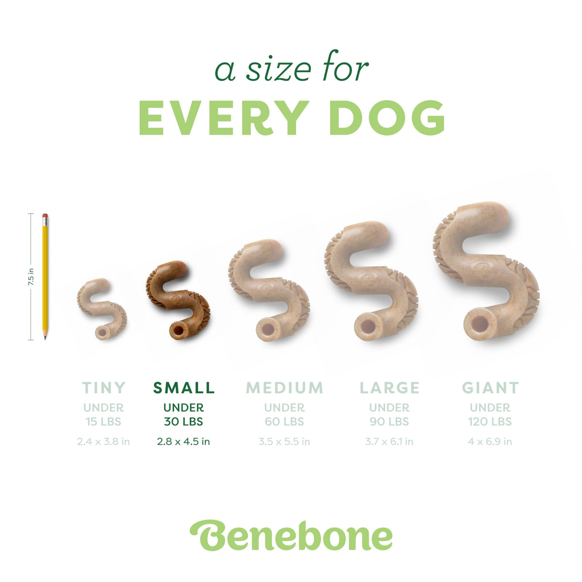 Tripe Bone Durable Dog Chew Toy for Aggressive Chewers (REAL Beef / Small)