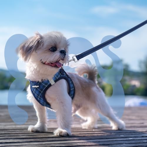 Dog Harness Small Sized and Leash Set (Navy Blue Plaid / S (Chest: 15.1"-16.5"))