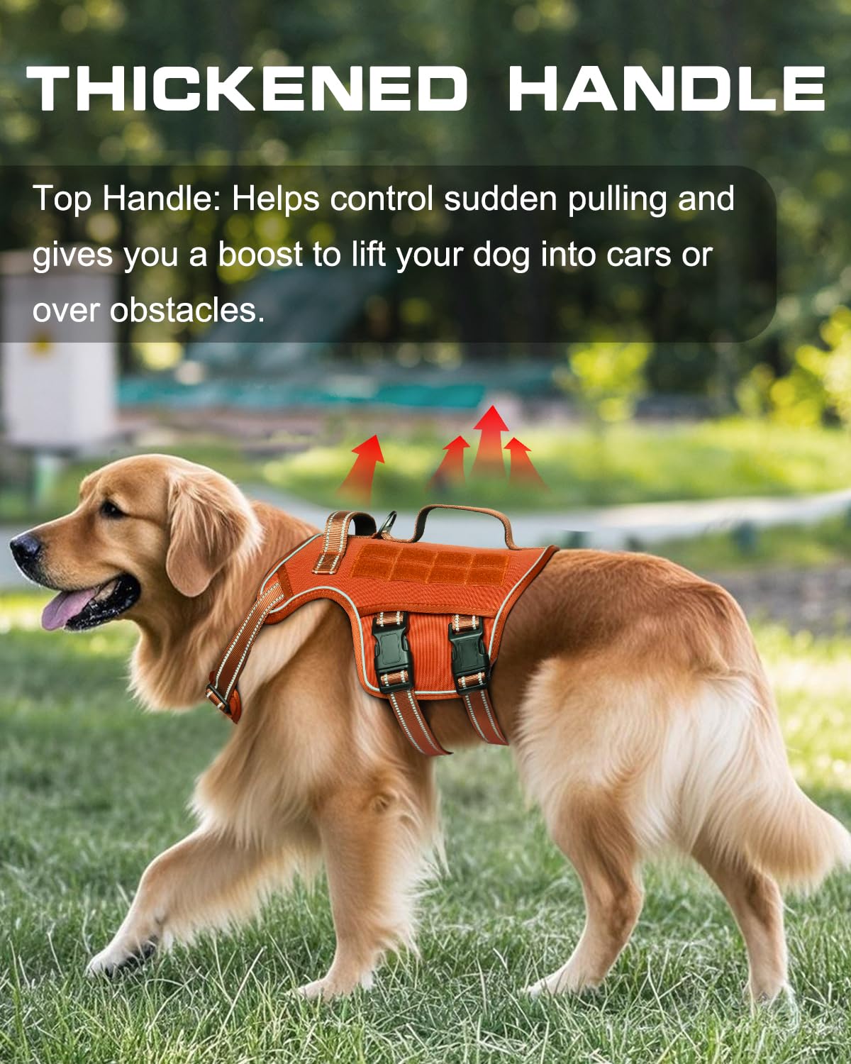 Dog Harness Medium Sized Dog (Orange / M(Neck:17-23",Chest:22-32"),35-50 lbs)