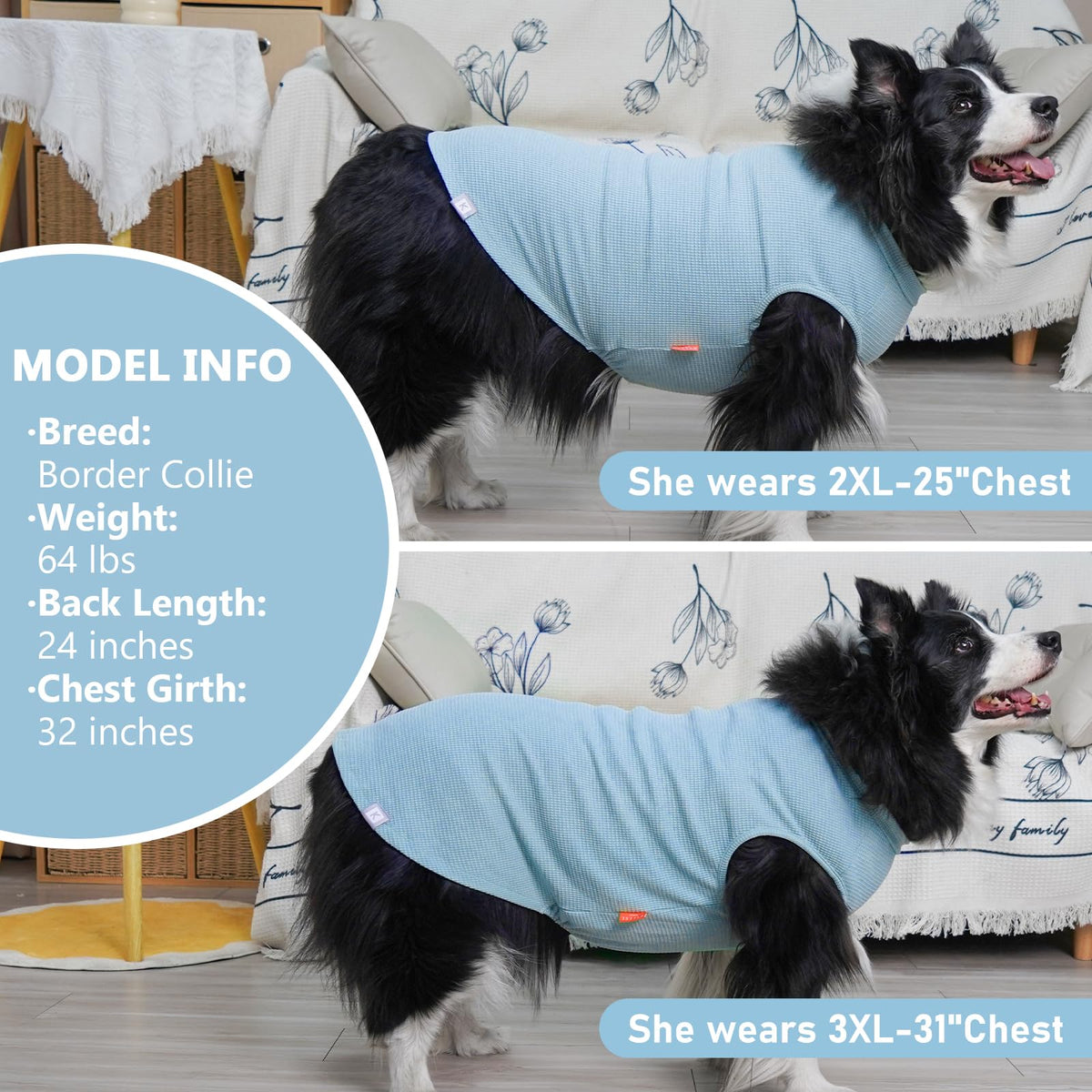 2Pack Waffle Dog Shirt for Large Dogs Soft Dog Sweater Tank Top (XXX-Large (55-75lbs) / 2Pack(Blue+Grey))