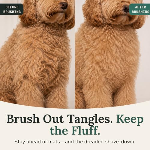 Doodle Brush Large Slicker Brush for Dogs (Large)