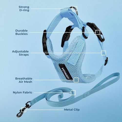 Voyager Step in Lock Cat Harness & Leash Set (Baby Blue / XXS (Chest: 11.5 - 14"))