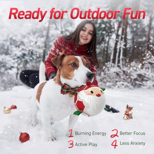 Christmas Dog Balls with Straps (Christmas 1 / 6 Inch)
