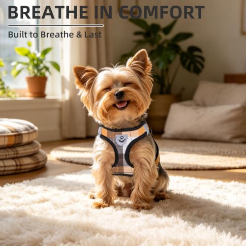 Dog Harness Collar and Leash Set No Pull for Small Medium Sized (Orange / XS (CHEST 13"-14.5"))