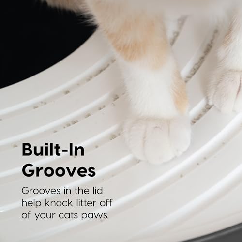 Top Entry Cat Litter Box (Top Entry / White/Gray)