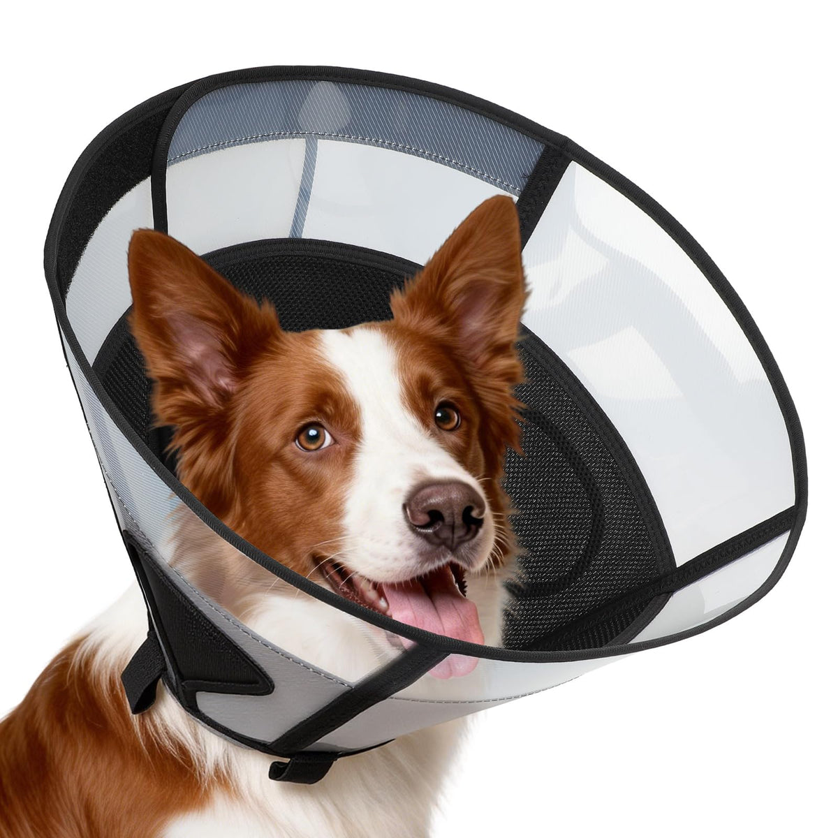 Soft Dog Cone Collar for Large Dogs (Black / M)