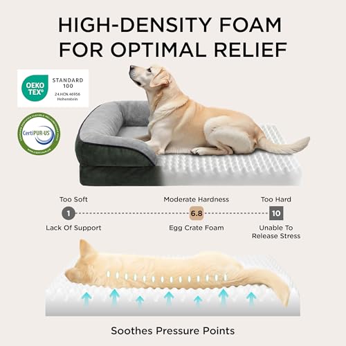 Orthopedic Dog Beds Large Sized Dog Washable Original Design (Dark Green / 38"l X 28"w X 6.5"th)
