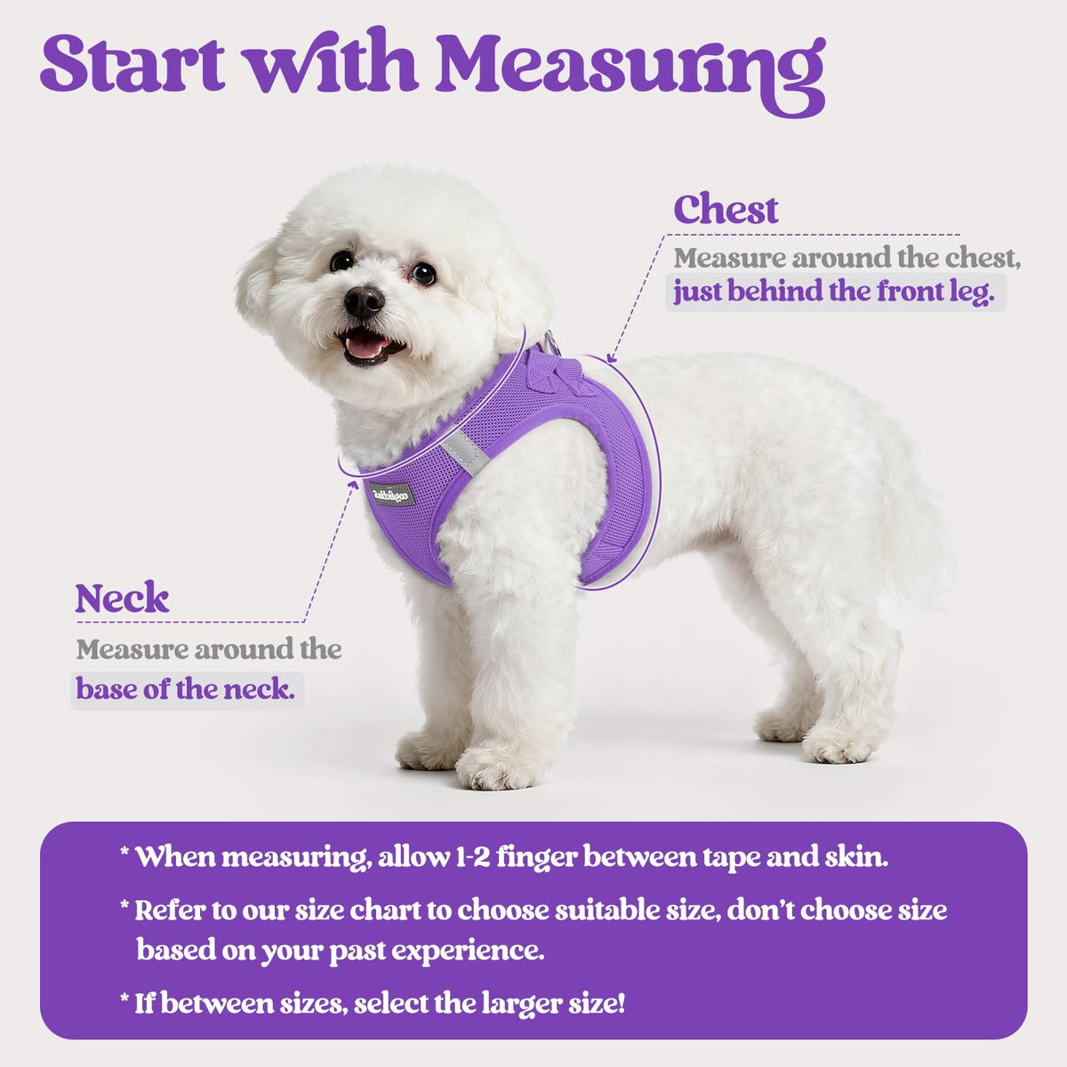 Dog Harness Small Sized and Leash Set (Purple / Xs (chest: 13.3 - 15.5"))