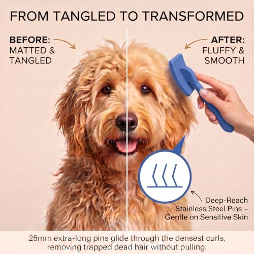 Slicker Brush for Dogs (Blue)