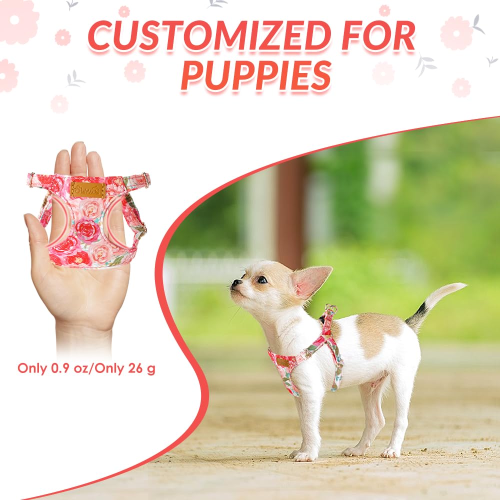 No Pull Dog Harness with Leash for Small Medium Dogs (X-Small(6-11lb) / Pink Rose)