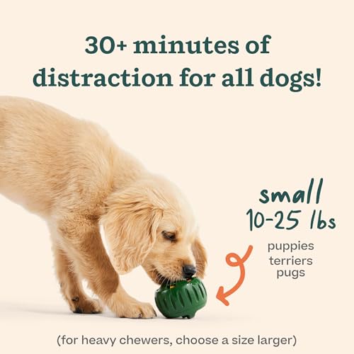 Pupsicle Dog Treat Toy with Silicone Treat Tray for Dogs 10 (Small Pupsicle + Treat Tray)